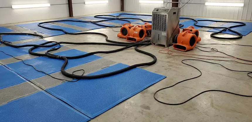 Large-Scale Water Cleanup in Palmetto